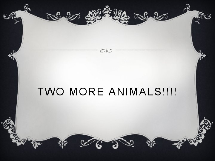 TWO MORE ANIMALS!!!! 