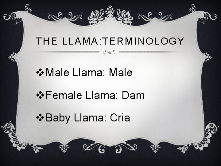 THE LLAMA: TERMINOLOGY v. Male Llama: Male v. Female Llama: Dam v. Baby Llama: