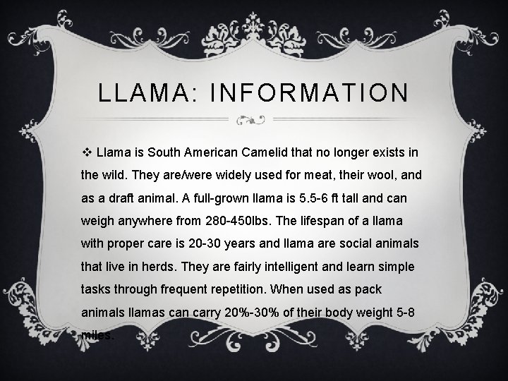 LLAMA: INFORMATION v Llama is South American Camelid that no longer exists in the