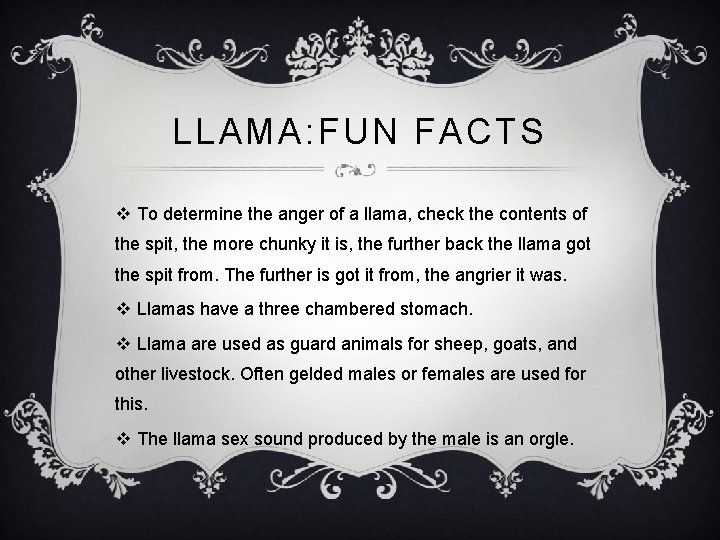 LLAMA: FUN FACTS v To determine the anger of a llama, check the contents