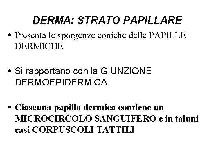 DERMA: STRATO PAPILLARE • Presenta le sporgenze coniche delle PAPILLE DERMICHE • Si rapportano