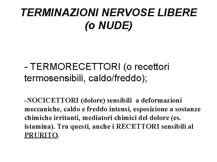 TERMINAZIONI NERVOSE LIBERE (o NUDE) - TERMORECETTORI (o recettori termosensibili, caldo/freddo); -NOCICETTORI (dolore) sensibili