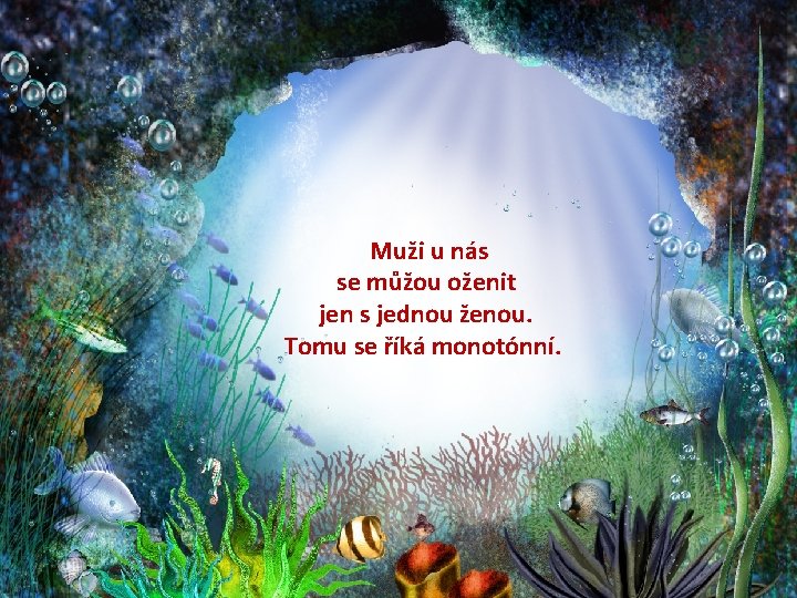 Muži u nás se můžou oženit jen s jednou ženou. Tomu se říká monotónní.