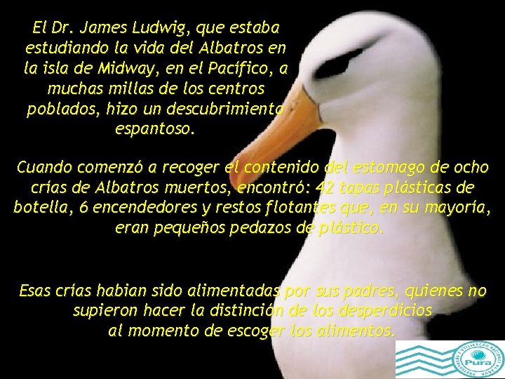 El Dr. James Ludwig, que estaba estudiando la vida del Albatros en la isla