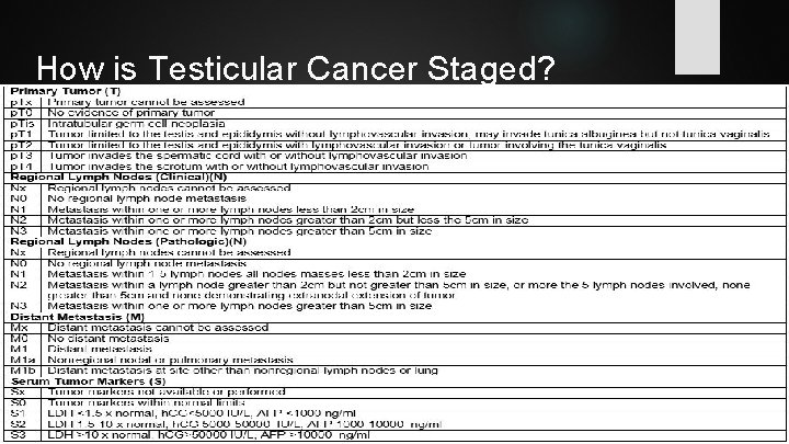 How is Testicular Cancer Staged? 