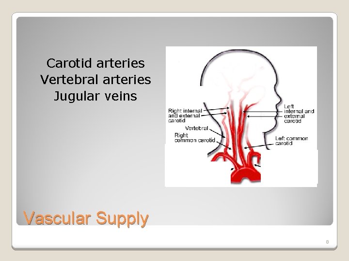 Carotid arteries Vertebral arteries Jugular veins Vascular Supply 8 