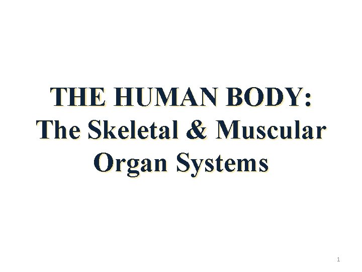 THE HUMAN BODY: The Skeletal & Muscular Organ Systems 1 