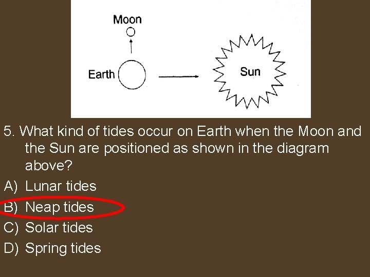 5. What kind of tides occur on Earth when the Moon and the Sun