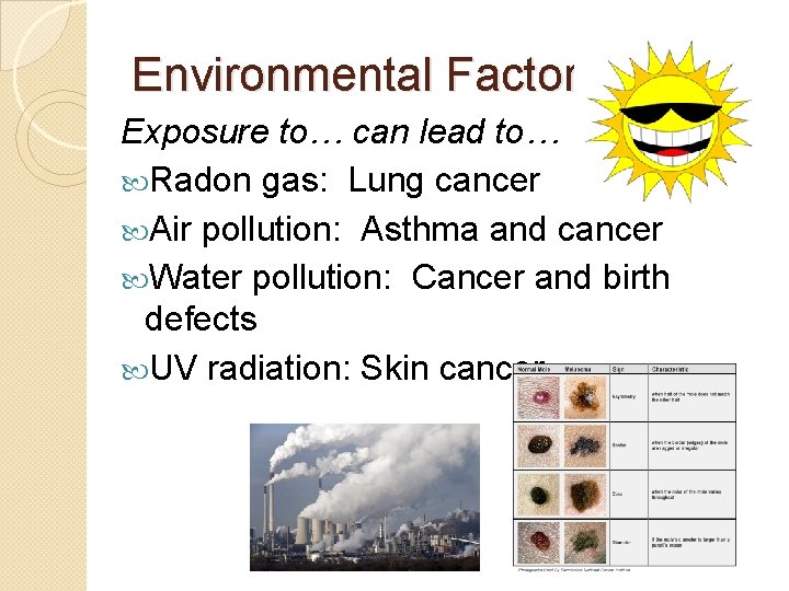 Environmental Factors Exposure to… can lead to… Radon gas: Lung cancer Air pollution: Asthma