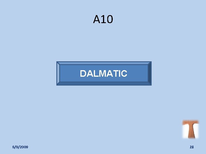 A 10 DALMATIC 6/9/2009 28 