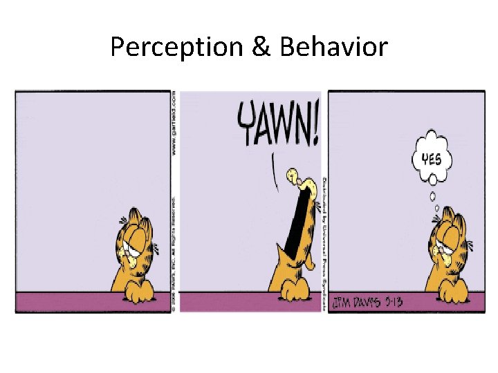 Perception & Behavior 