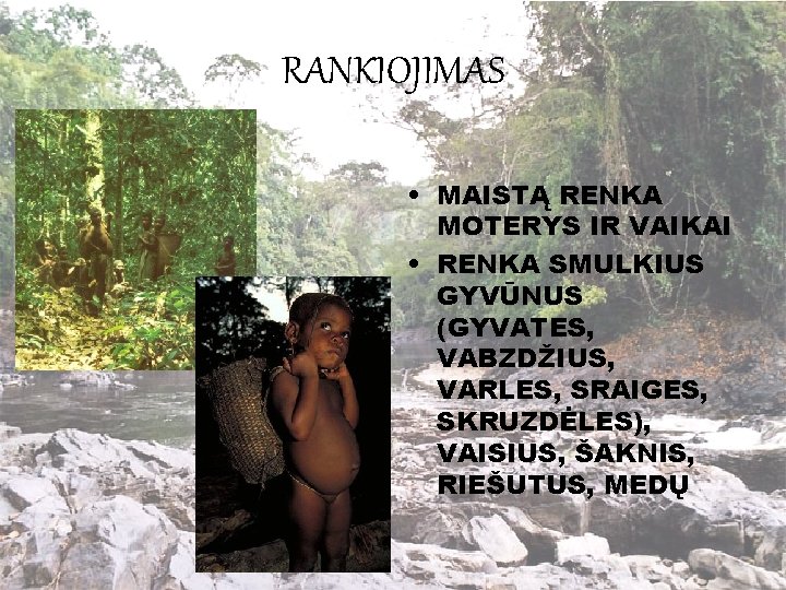 RANKIOJIMAS • MAISTĄ RENKA MOTERYS IR VAIKAI • RENKA SMULKIUS GYVŪNUS (GYVATES, VABZDŽIUS, VARLES,