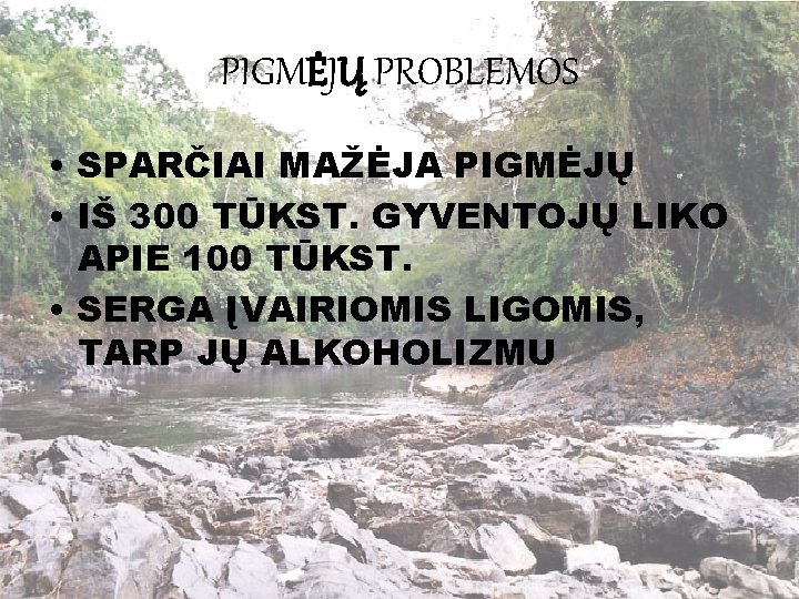 PIGMĖJŲ PROBLEMOS • SPARČIAI MAŽĖJA PIGMĖJŲ • IŠ 300 TŪKST. GYVENTOJŲ LIKO APIE 100