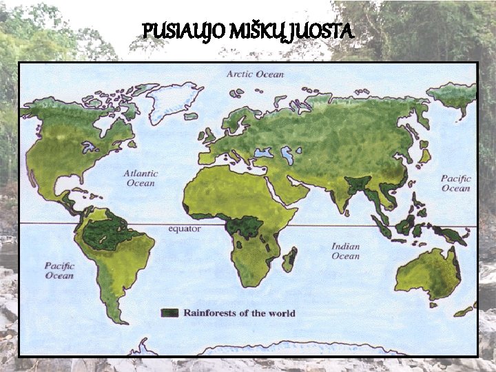 PUSIAUJO MIŠKŲ JUOSTA 