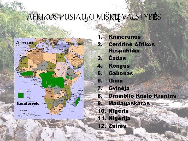 AFRIKOS PUSIAUJO MIŠKŲ VALSTYBĖS 1. 2. Kamerūnas Centrinė Afrikos Respublika 3. Čadas 4. Kongas