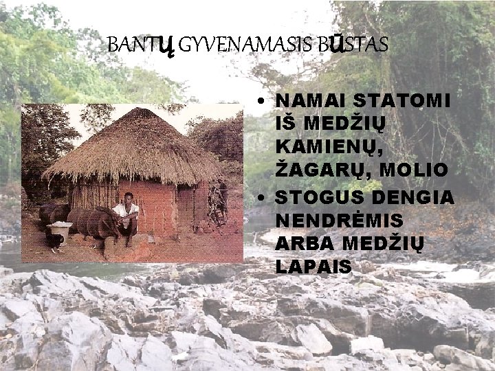 BANTŲ GYVENAMASIS BŪSTAS • NAMAI STATOMI IŠ MEDŽIŲ KAMIENŲ, ŽAGARŲ, MOLIO • STOGUS DENGIA