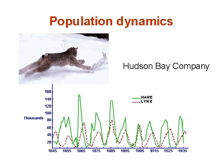 Population dynamics Hudson Bay Company 