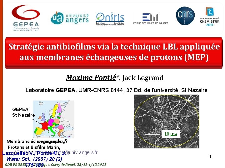 Stratégie antibiofilms via la technique LBL appliquée aux membranes échangeuses de protons (MEP) Maxime