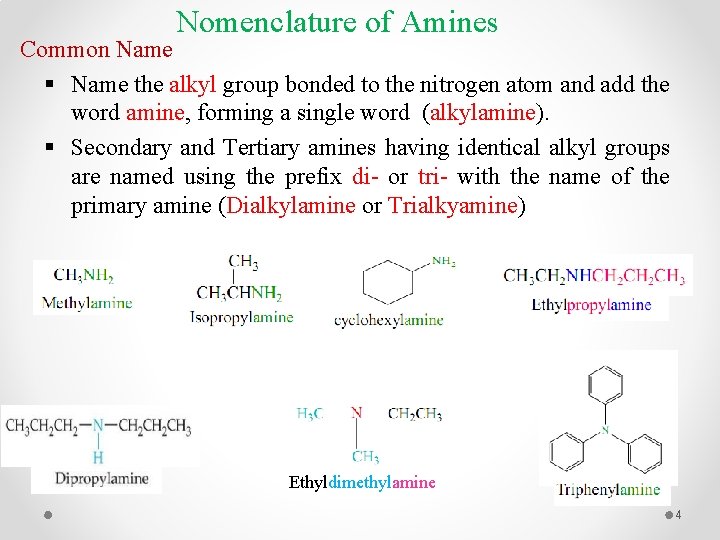 Nomenclature of Amines Common Name § Name the alkyl group bonded to the nitrogen