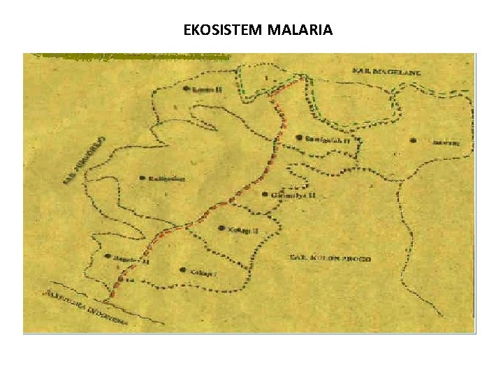 EKOSISTEM MALARIA 