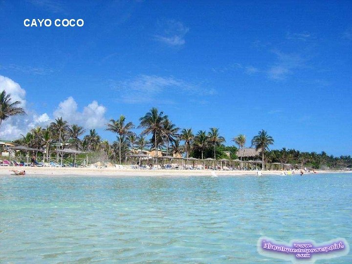 CAYO COCO 