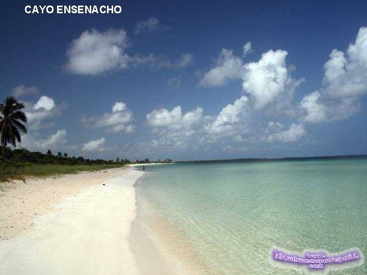 CAYO ENSENACHO 