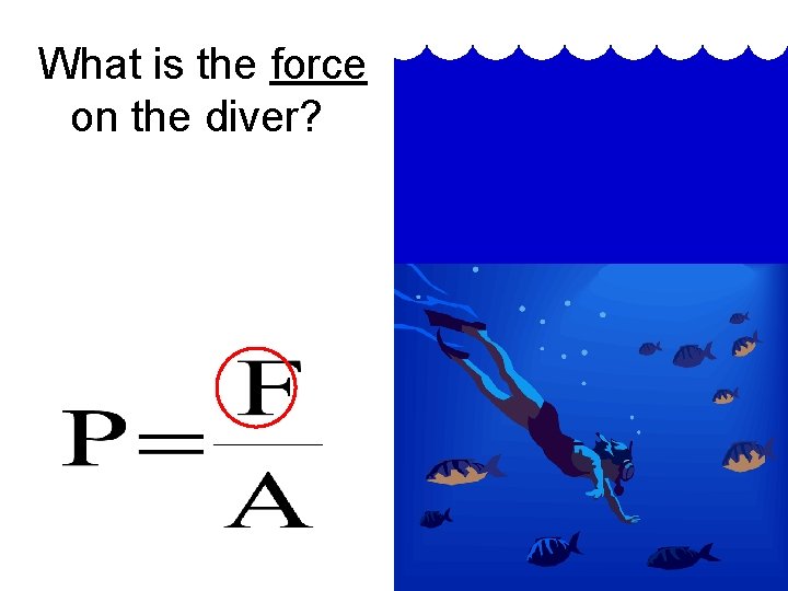 What is the force on the diver? 