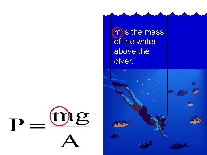 m is the mass of the water above the diver. 