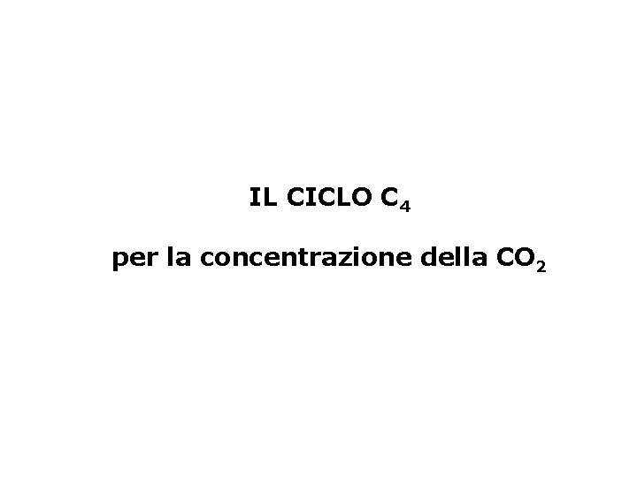 IL CICLO C 4 per la concentrazione della CO 2 
