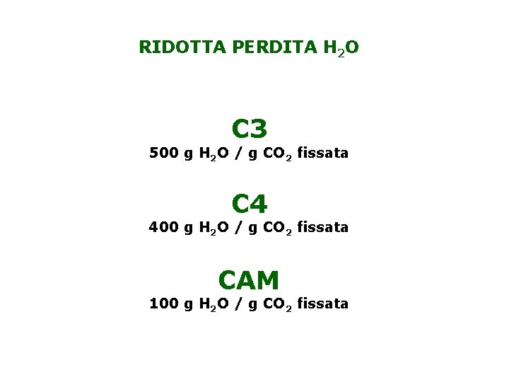 RIDOTTA PERDITA H 2 O C 3 500 g H 2 O / g