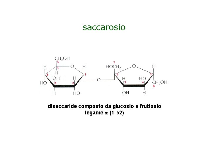 saccarosio disaccaride composto da glucosio e fruttosio legame (1 2) 