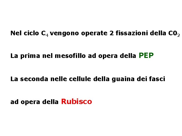 Nel ciclo C 4 vengono operate 2 fissazioni della C 02 La prima nel