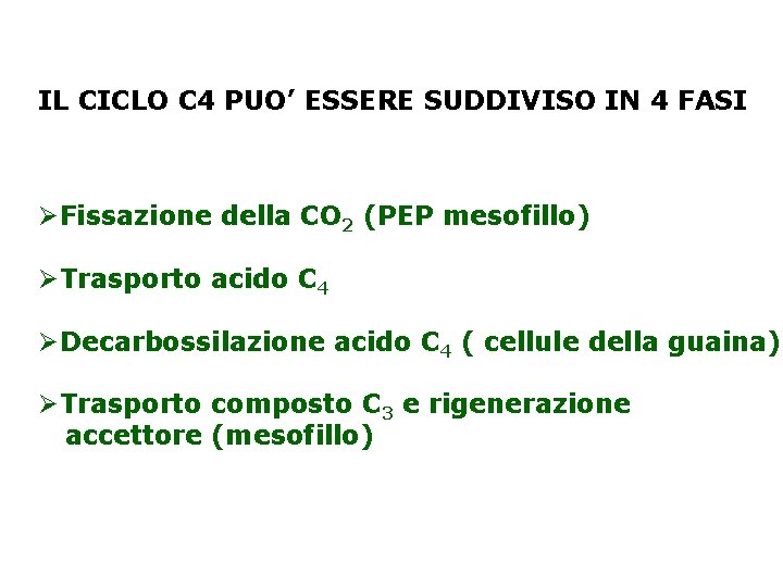 IL CICLO C 4 PUO’ ESSERE SUDDIVISO IN 4 FASI ØFissazione della CO 2