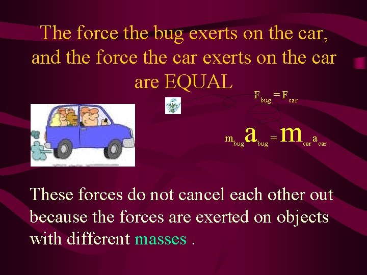The force the bug exerts on the car, and the force the car exerts