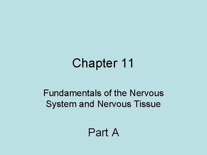 Chapter 11 Fundamentals of the Nervous System and