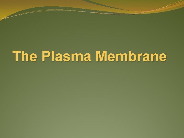 The Plasma Membrane 