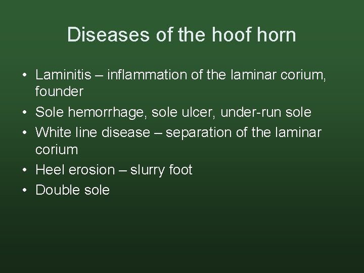 Diseases of the hoof horn • Laminitis – inflammation of the laminar corium, founder
