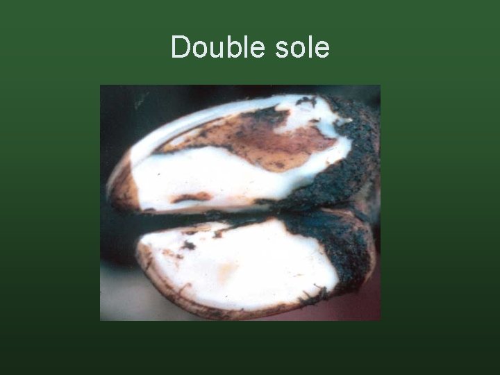 Double sole 
