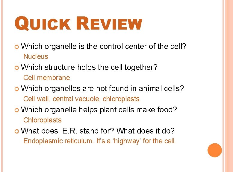 QUICK REVIEW Which organelle is the control center of the cell? Nucleus Which structure