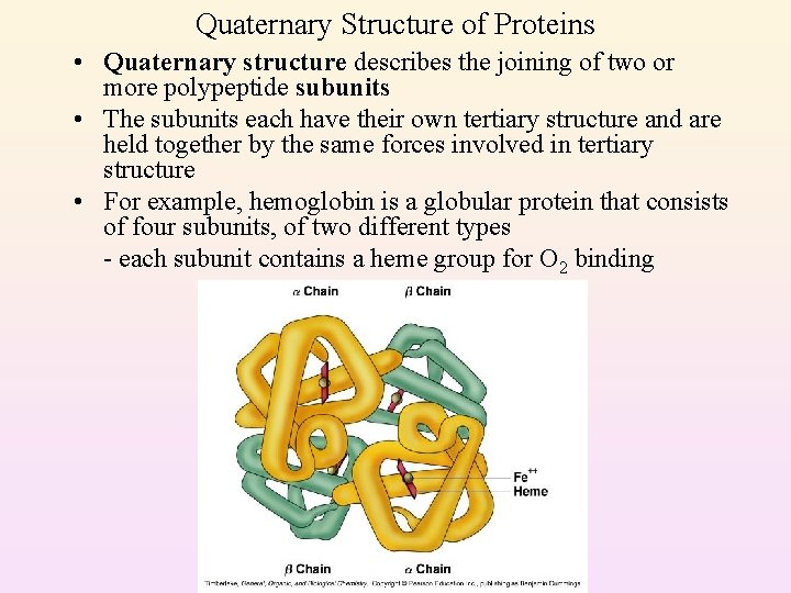 Quaternary Structure of Proteins • Quaternary structure describes the joining of two or more