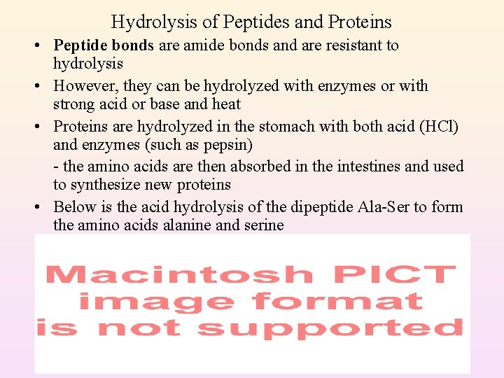 Hydrolysis of Peptides and Proteins • Peptide bonds are amide bonds and are resistant