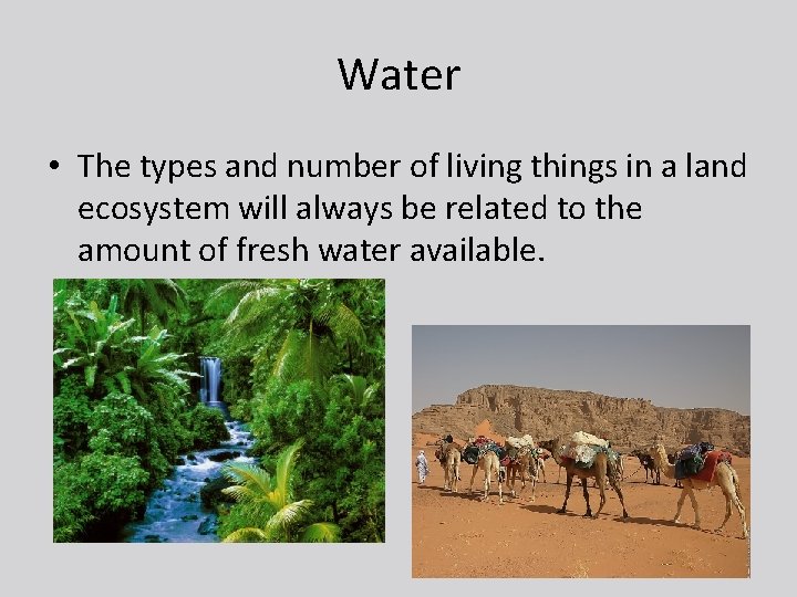 Water • The types and number of living things in a land ecosystem will