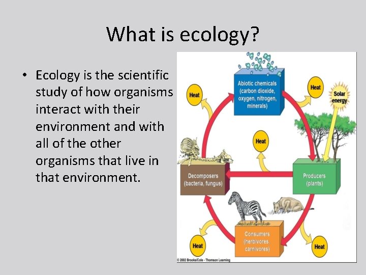 What is ecology? • Ecology is the scientific study of how organisms interact with