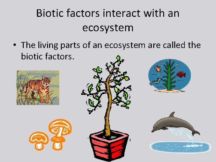 Biotic factors interact with an ecosystem • The living parts of an ecosystem are