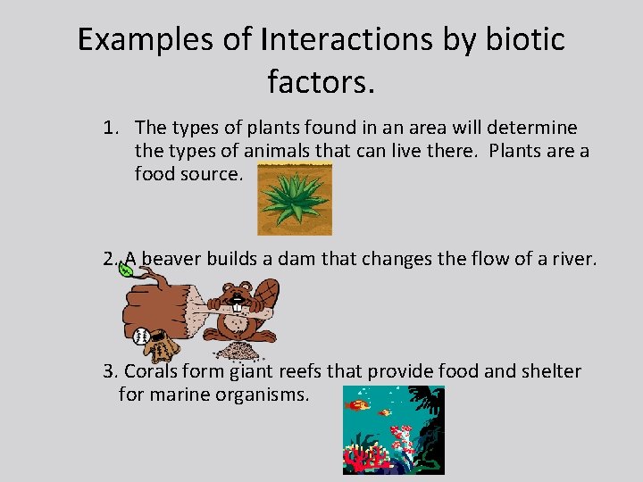Examples of Interactions by biotic factors. 1. The types of plants found in an