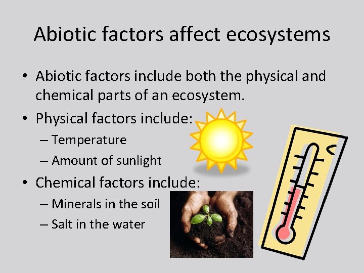 Abiotic factors affect ecosystems • Abiotic factors include both the physical and chemical parts