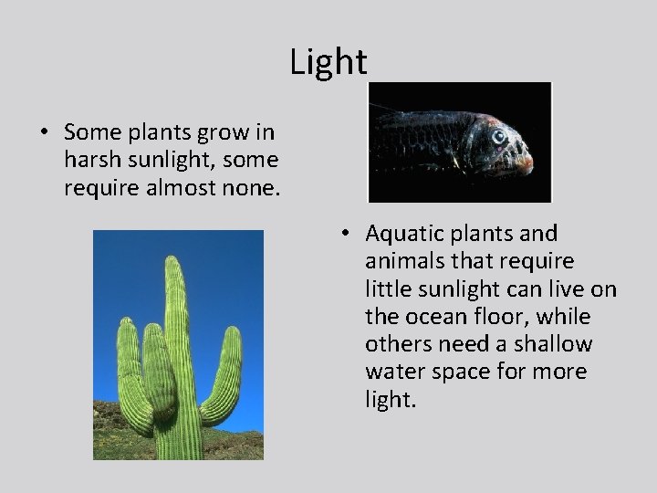 Light • Some plants grow in harsh sunlight, some require almost none. • Aquatic