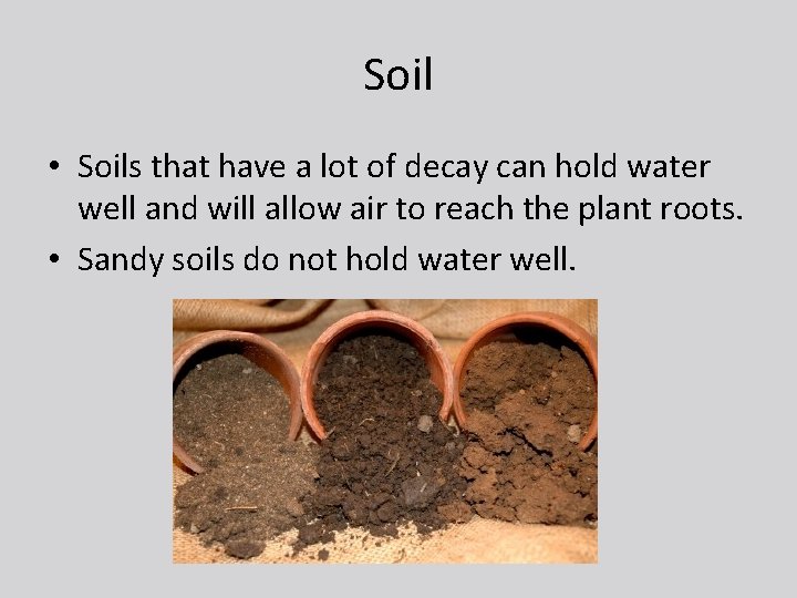 Soil • Soils that have a lot of decay can hold water well and