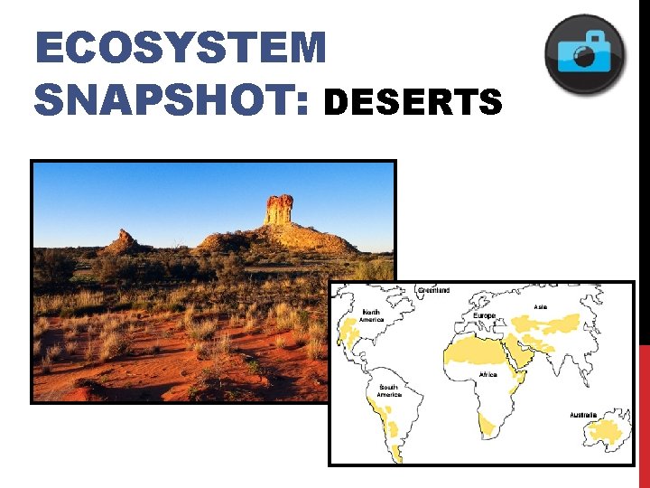 ECOSYSTEM SNAPSHOT: DESERTS 