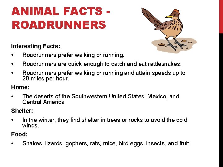 ANIMAL FACTS ROADRUNNERS Interesting Facts: • • • Roadrunners prefer walking or running. Roadrunners